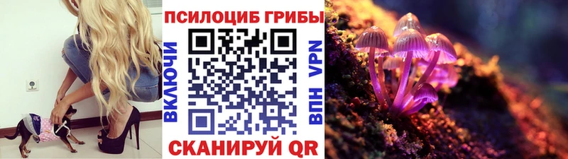 Купить где  Усть-Джегута  Галлюциногенные грибы MAGIC MUSHROOMS 